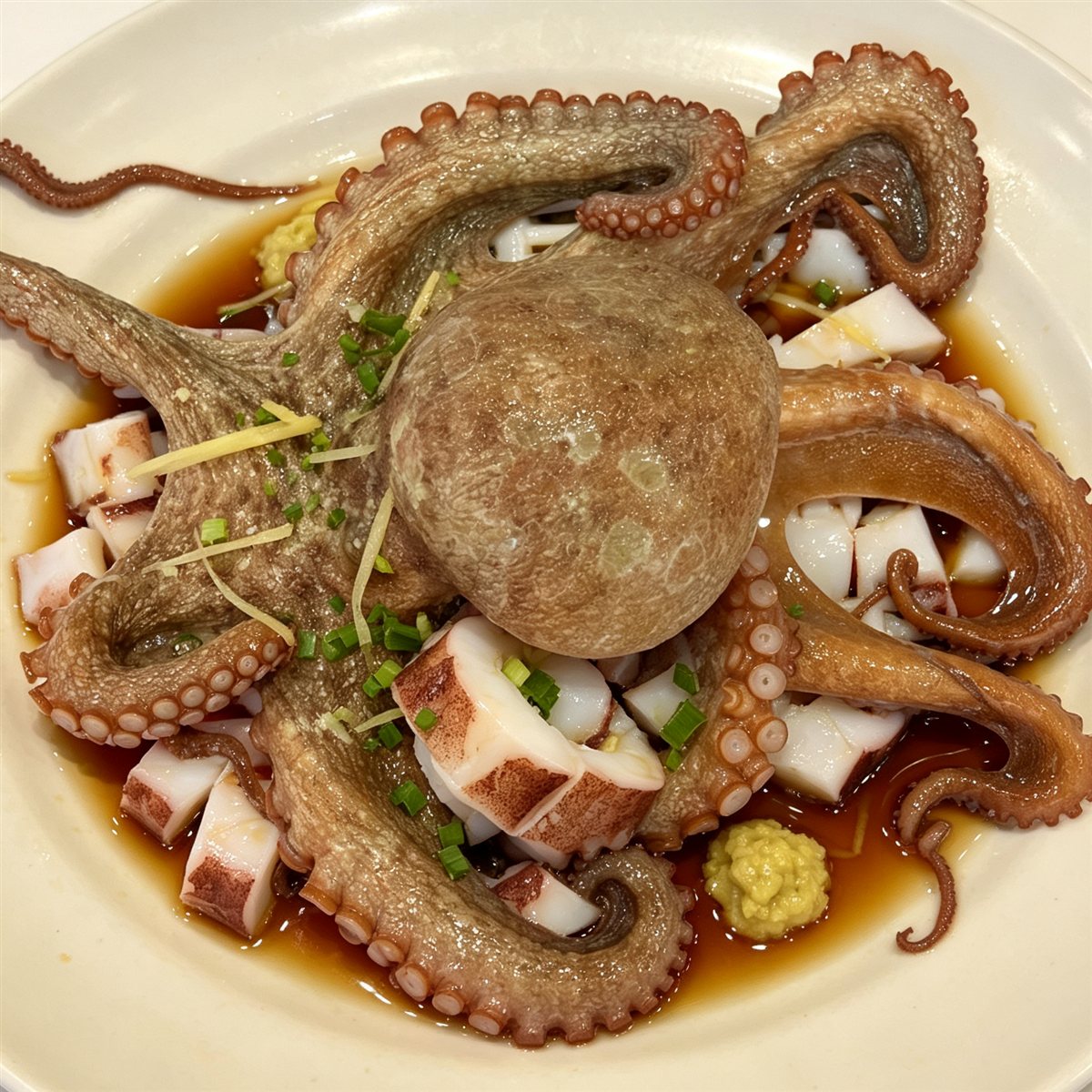 Fresh Whole Octopus, Wild-Caught, Ready to Cook