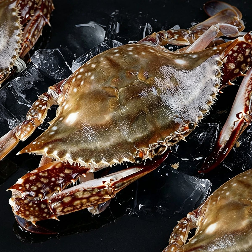 Fresh Hairy Crab, Premium Live Seafood